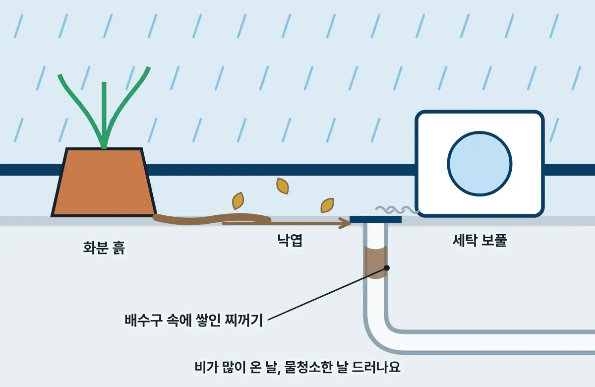 비 오는 날 베란다 그림. 화분 흙, 낙엽, 세탁기 보풀이 바닥 배수구로 흘러 들어가 배관 속에 쌓인다.