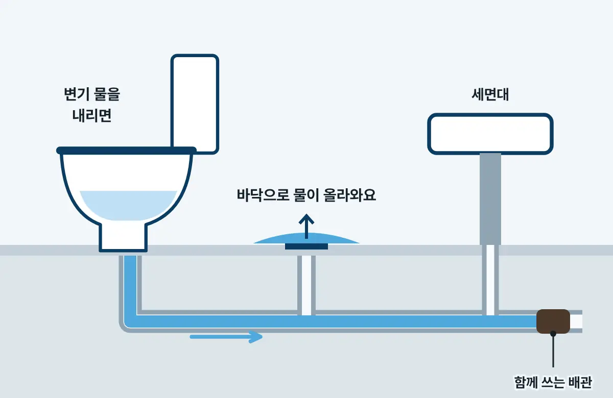 화장실 단면 그림. 변기, 바닥 배수구, 세면대가 바닥 아래 하나의 배관으로 이어지고, 끝이 막혀 변기 물을 내리면 바닥 배수구로 물이 올라온다.