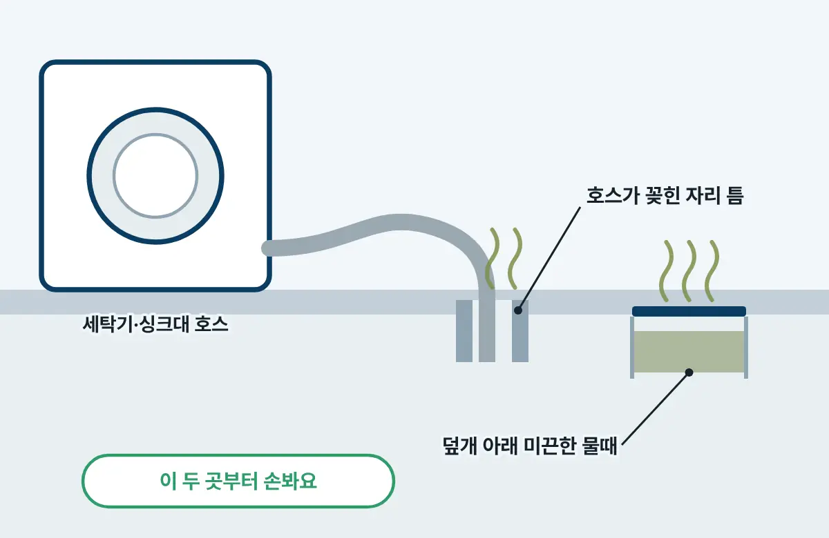 세탁기 호스가 바닥 배수구에 꽂힌 자리의 틈과, 덮개 아래 미끈한 물때에서 냄새가 올라오는 그림.